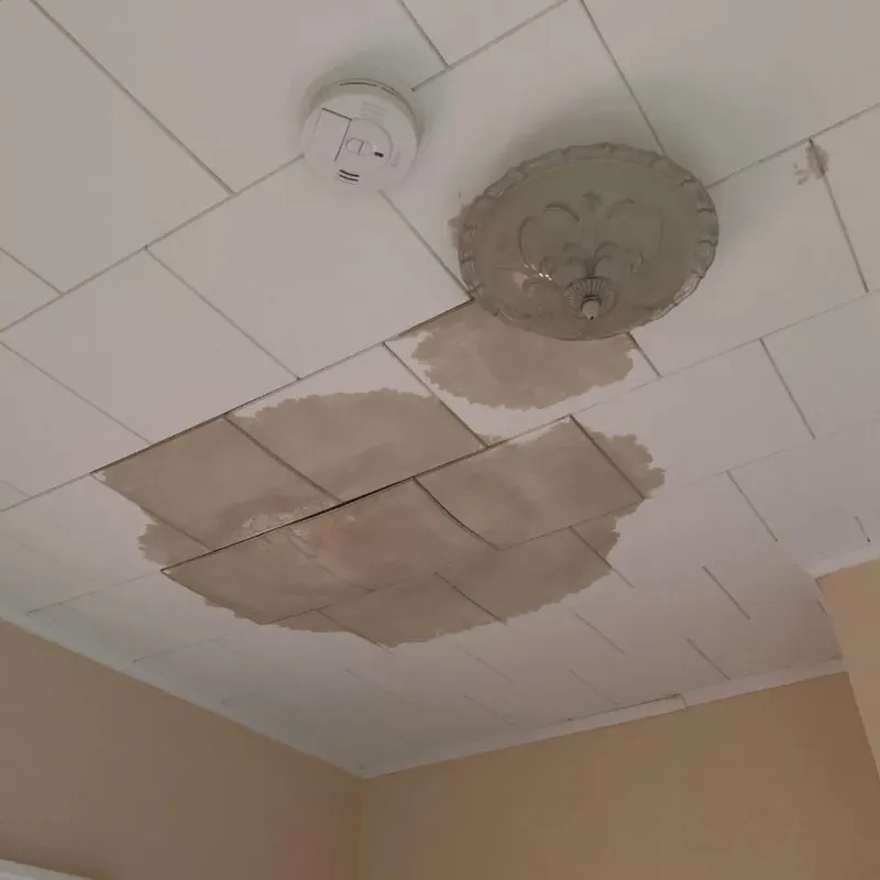 Ceiling Water Damage Repair in Bexar County, TX