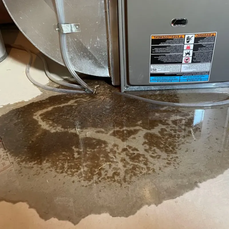 Pipe Burst and Leak Restoration in Bexar County, TX